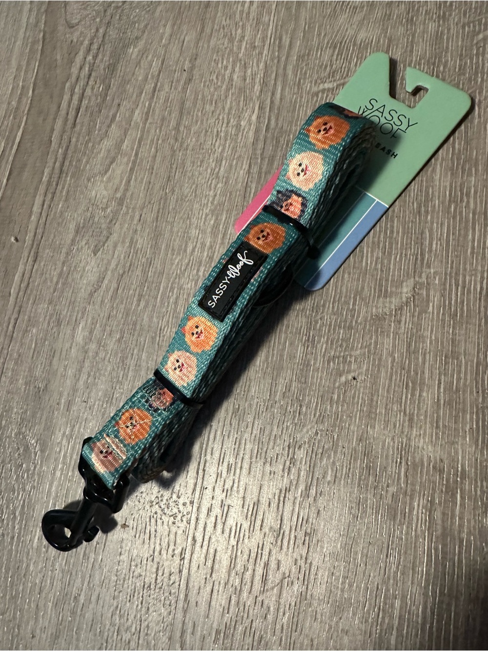Teal Puppy Pattern Kids Leash